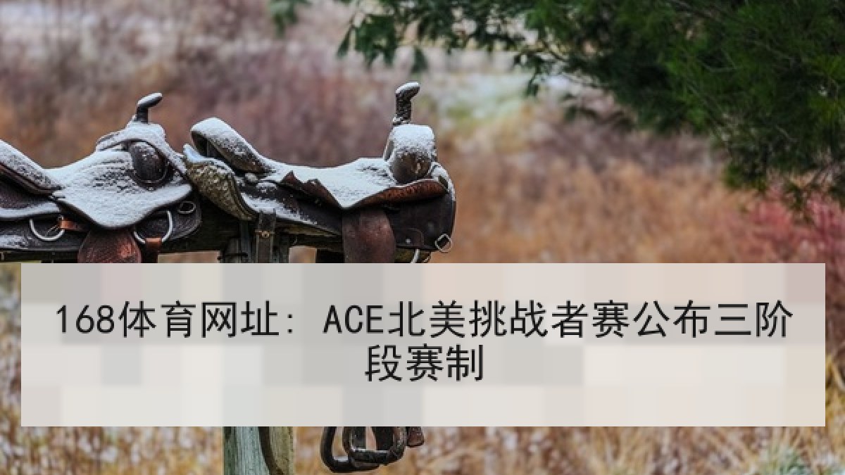 168体育网址: ACE北美挑战者赛公布三阶段赛制